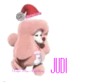 JUDI