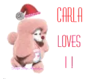 Carla Loves it