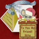 Merry Christmas to you! Nita