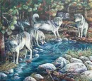 wolves