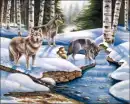 wolves