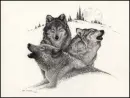 wolves