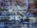 Wild Side Poem Picture By Request