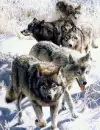 wolves