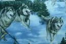  wolves
