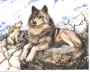 mother wolf and pups