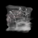 skeletons