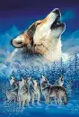 wolves and spirit