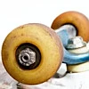 Skate Board