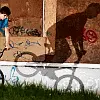 BMX