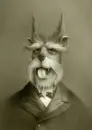 Rare Dog
