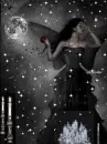 Moonlight Night