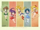 sailor  scouts