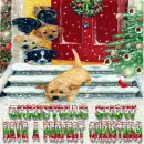 Christmas snow puppies