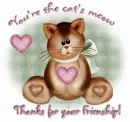 Thanks for your friendship
