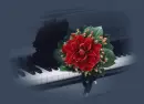 flower on piano keyboard