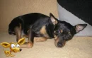 Sleepy