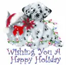 happy holidays transition:cat/dog to bears