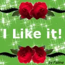 I like it!