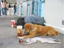 Begging