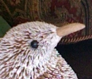 Birdie 