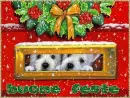 Buone feste