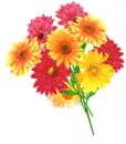 boquet of wildflowers