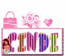 CINDI