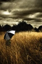 melancolia