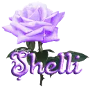 purple rose shelli