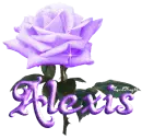 purple rose alexis