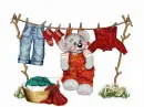 Teddy 8