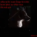 wolf in the night
