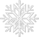 SILVER SNOWFLAKE