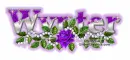 Purple rose-Wynter