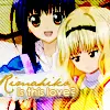 rimahiko love