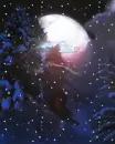 winter wonderland fairy