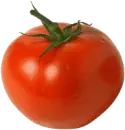 tomate