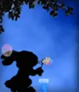 bubbles