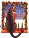 christmas cat looking out of winter window