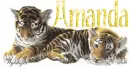 Tiger Cubs - Amanda