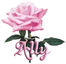 pink rose ally