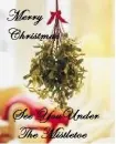 under the mistletoe