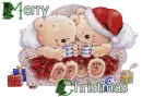 merry christmas bears