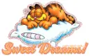 Good Night!