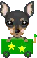 Ratler