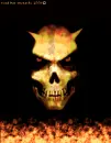 skull in the perdition