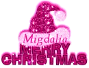 Pink Santa Hat- Migdalia