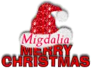 Red Santa Hat - Migdalia