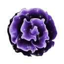Purple Rose Glitter